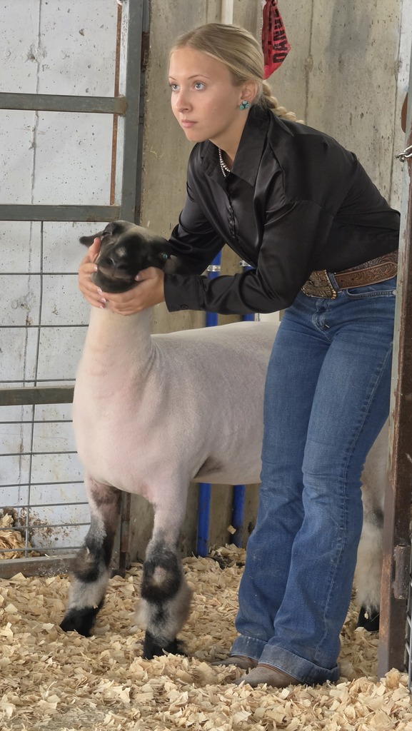 Student at the Livestock Show