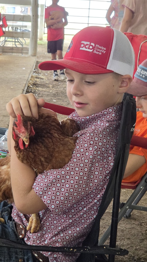 Student at the Livestock Show