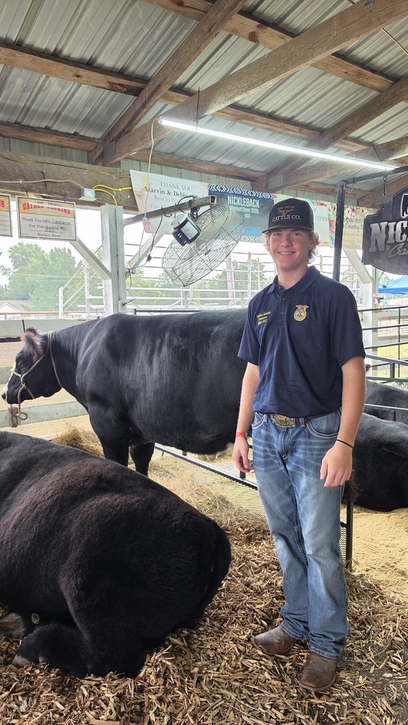 Student at the Livestock Show