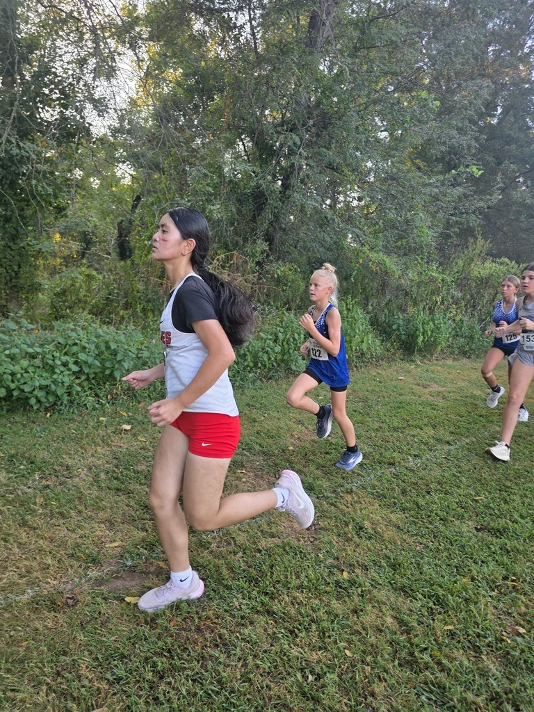 Runners compete in an outdoor cross-country event, one leaning forward with outstretched arms, others in the background.