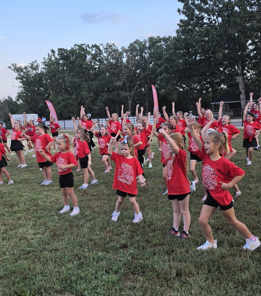 Cheer camp showcases Social Integrity through mentorship.