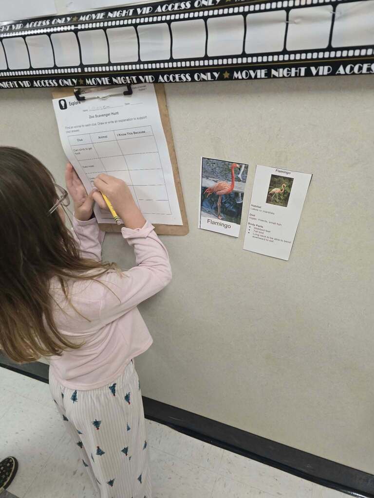 First Grade Animal Scavenger Hunt!