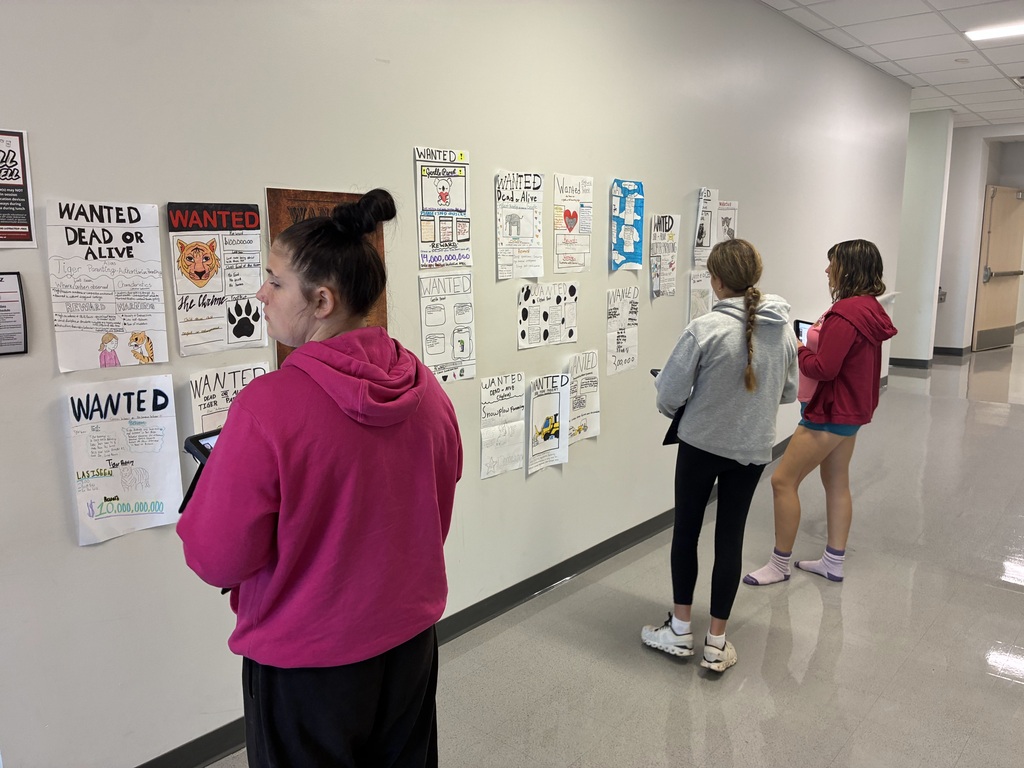 Child Development students take part in a Gallery Walk to view posters featuring different parenting styles.