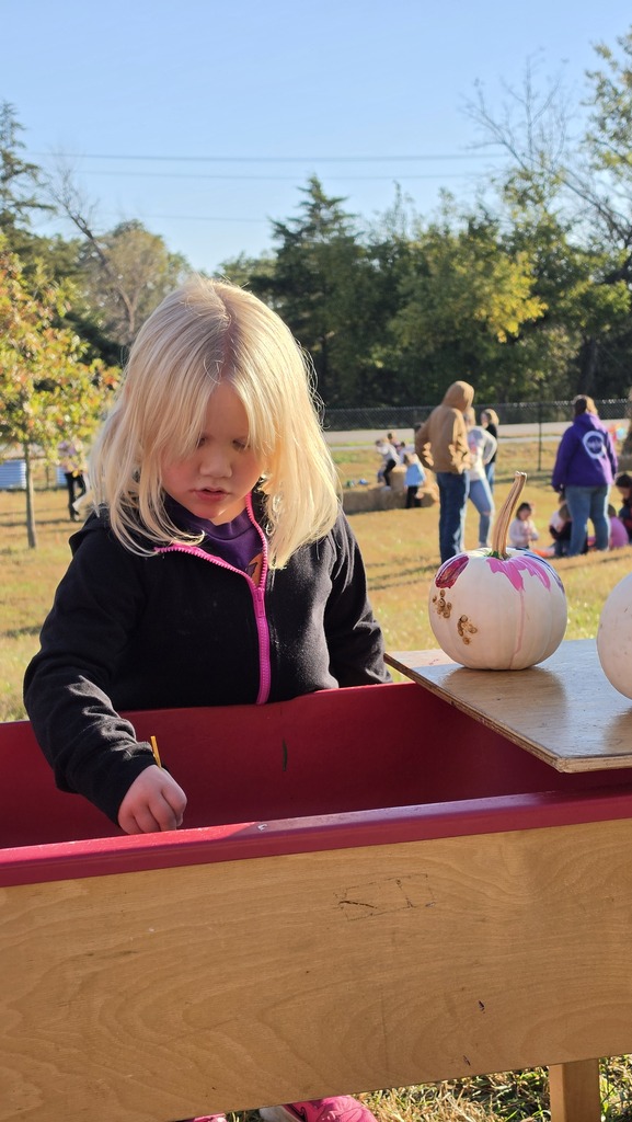 Pumpkin Day at Tiger Cubs!