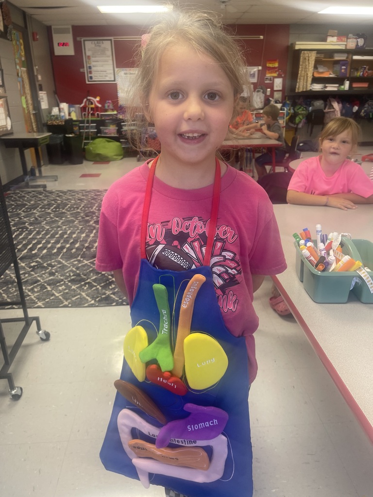 First grade students learn about the human body for the science unit!