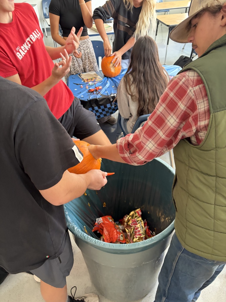 Applied Science students learn about food chains with a hands-on pumpkin activity.