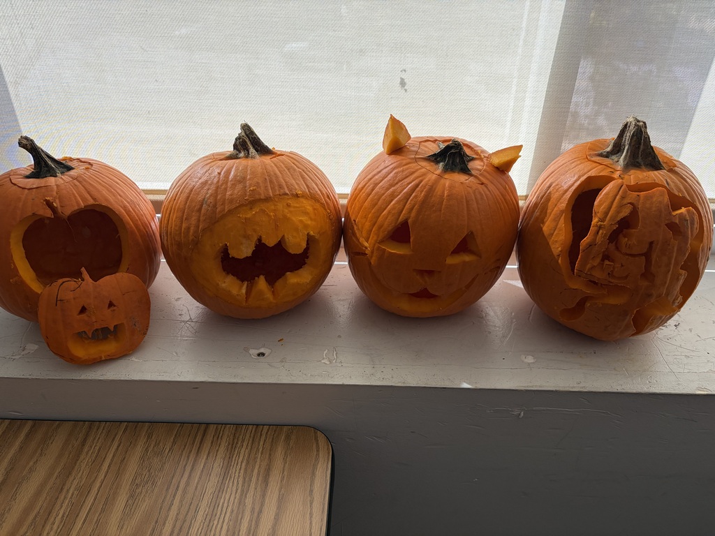 Applied Science students learn about food chains with a hands-on pumpkin activity.