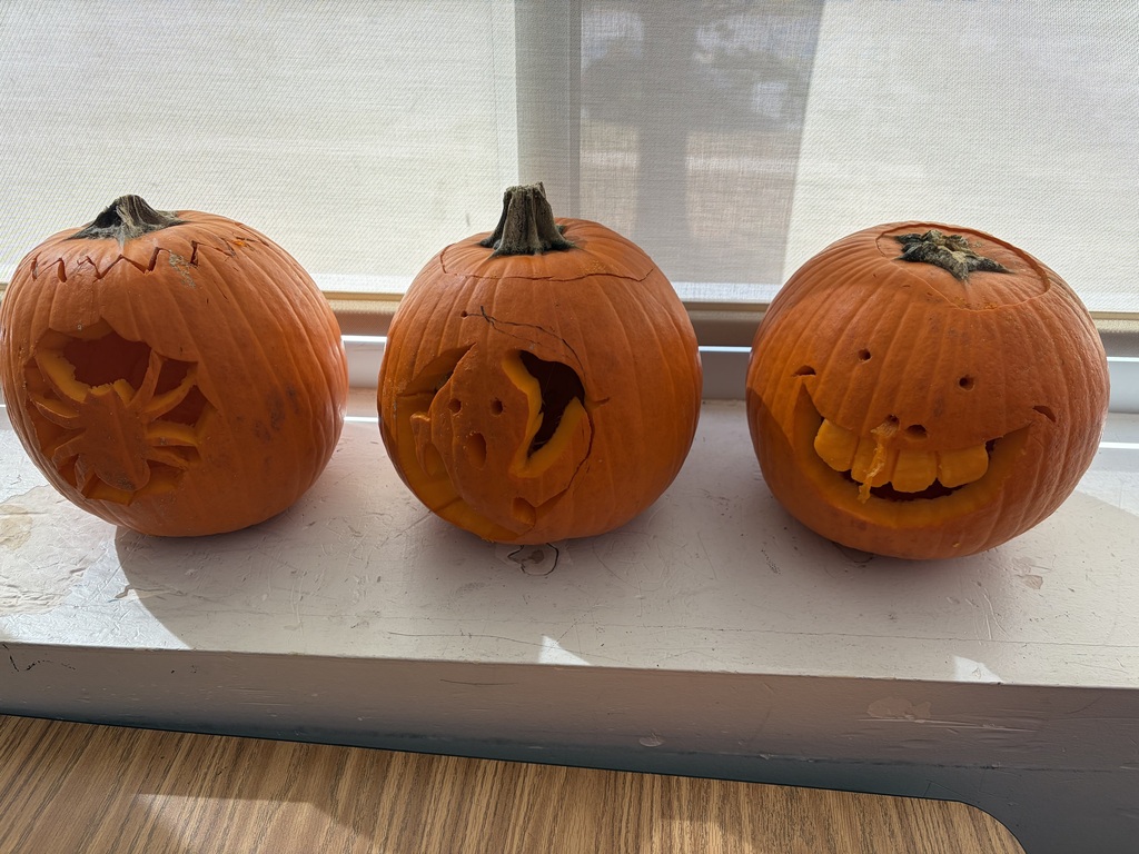 Applied Science students learn about food chains with a hands-on pumpkin activity.