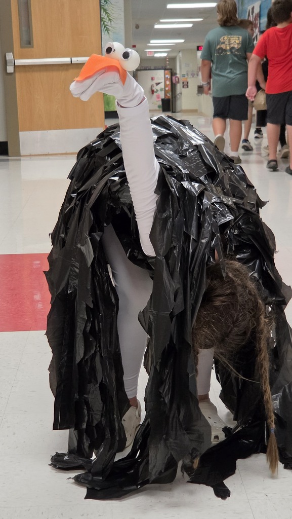 Halloween in the Halls!