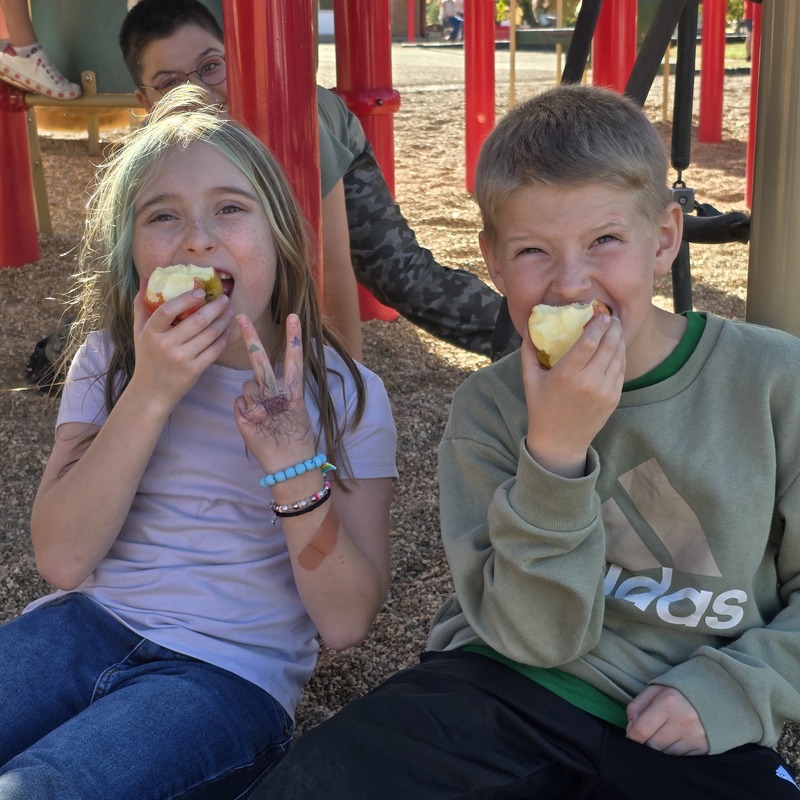 Apple Day in St. James R-1