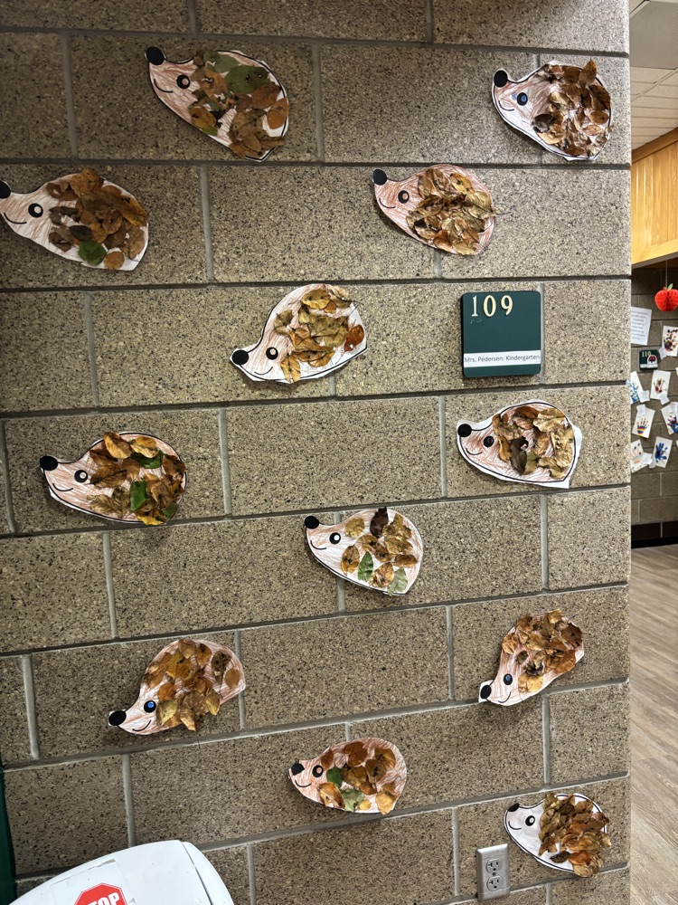 hedgehog
