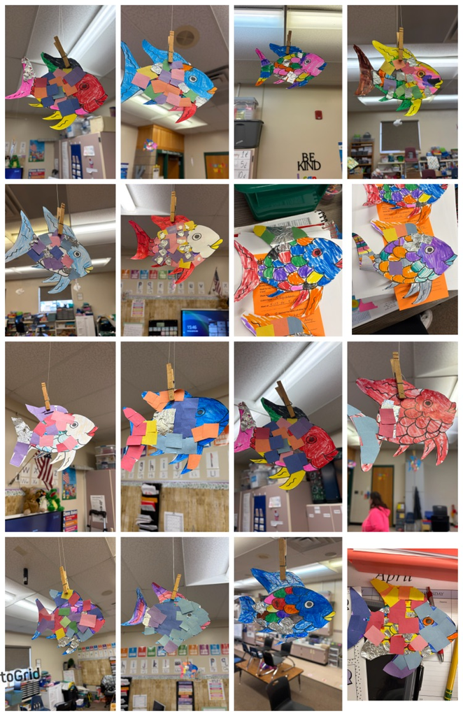 rainbow fish 