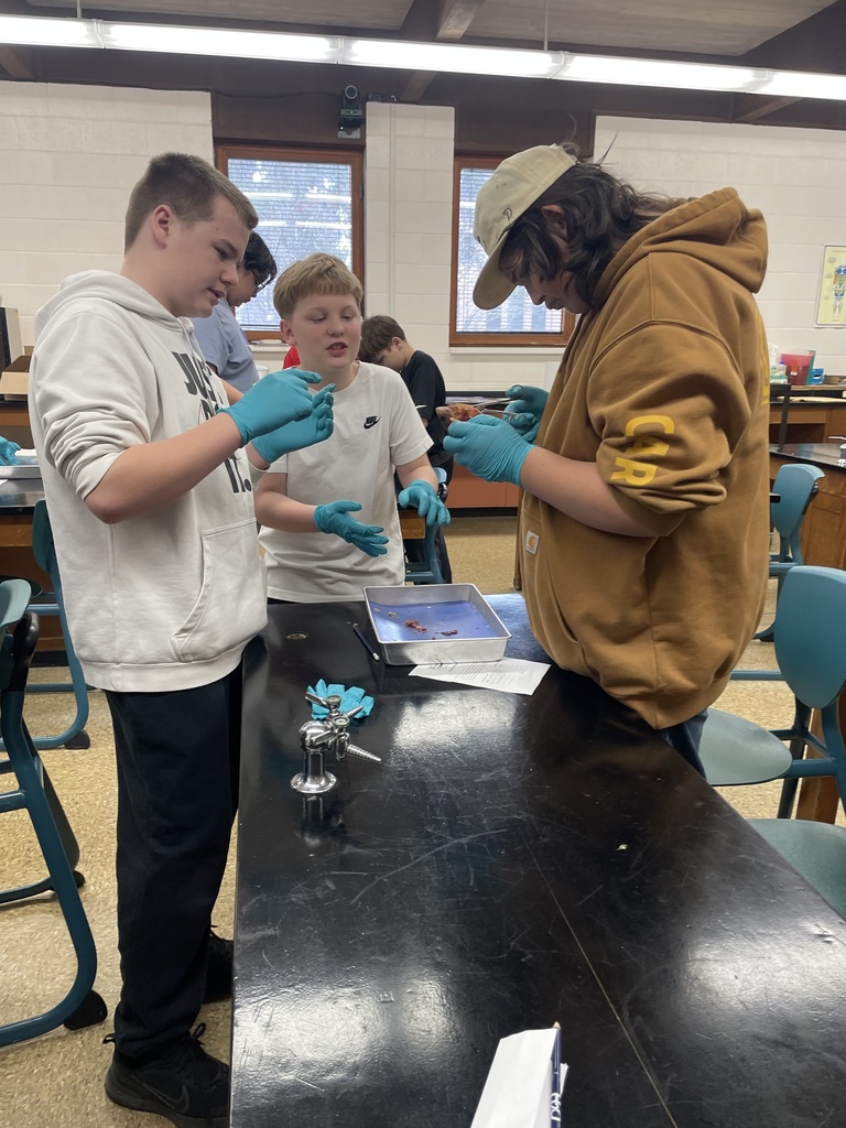 Water Festival