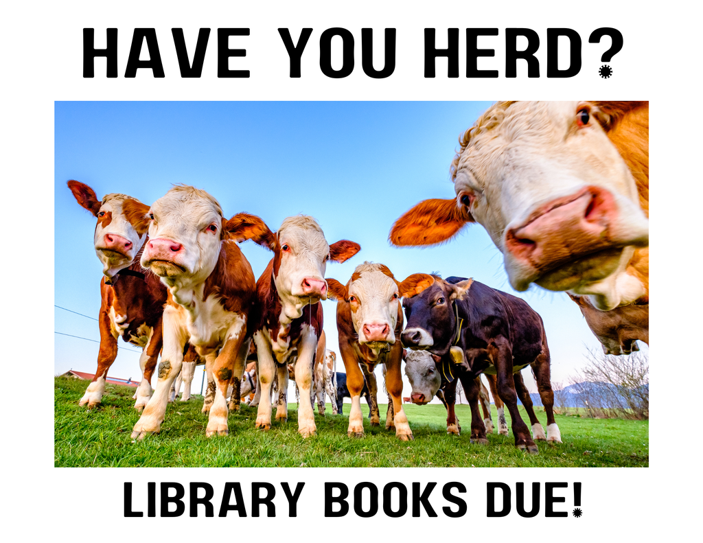 herd