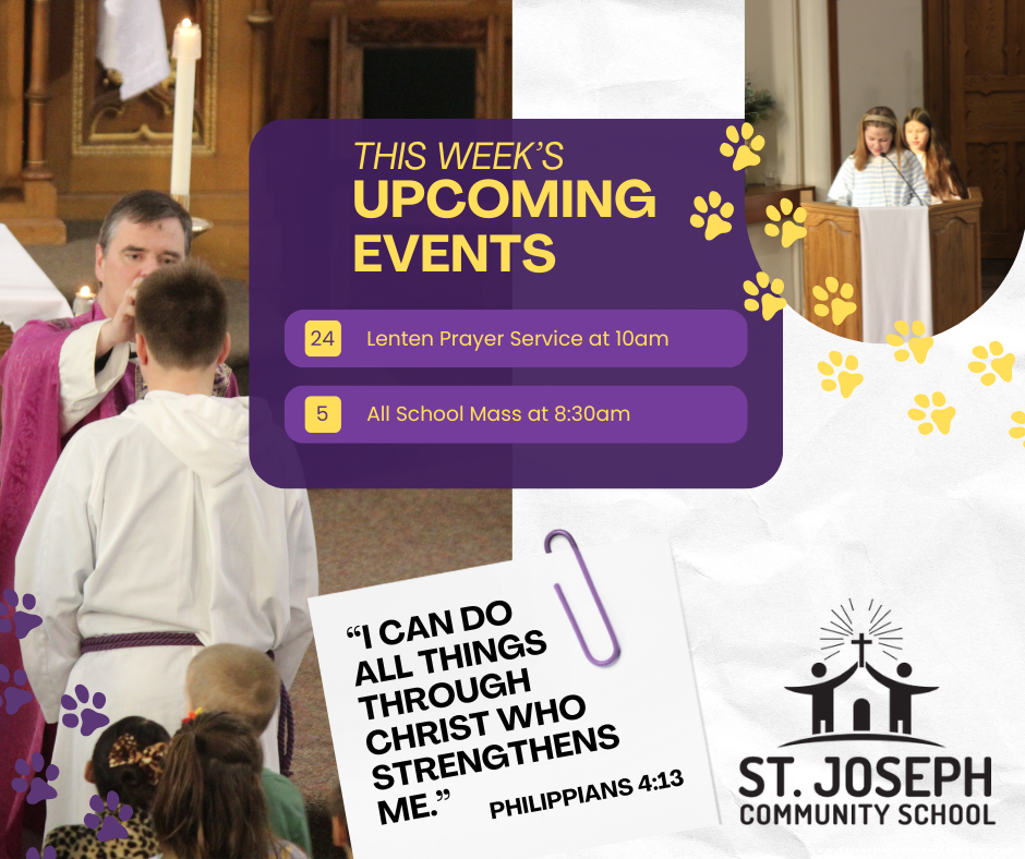 This week activities - February 23rd-27th