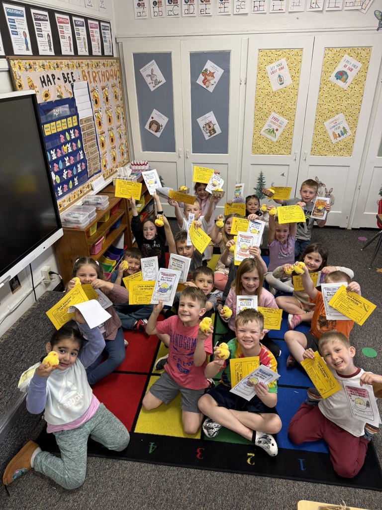 Adoption Day for our chicks