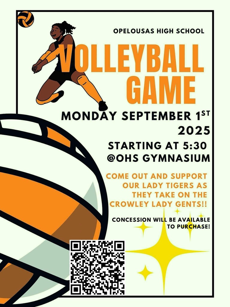 Volleyball flyer