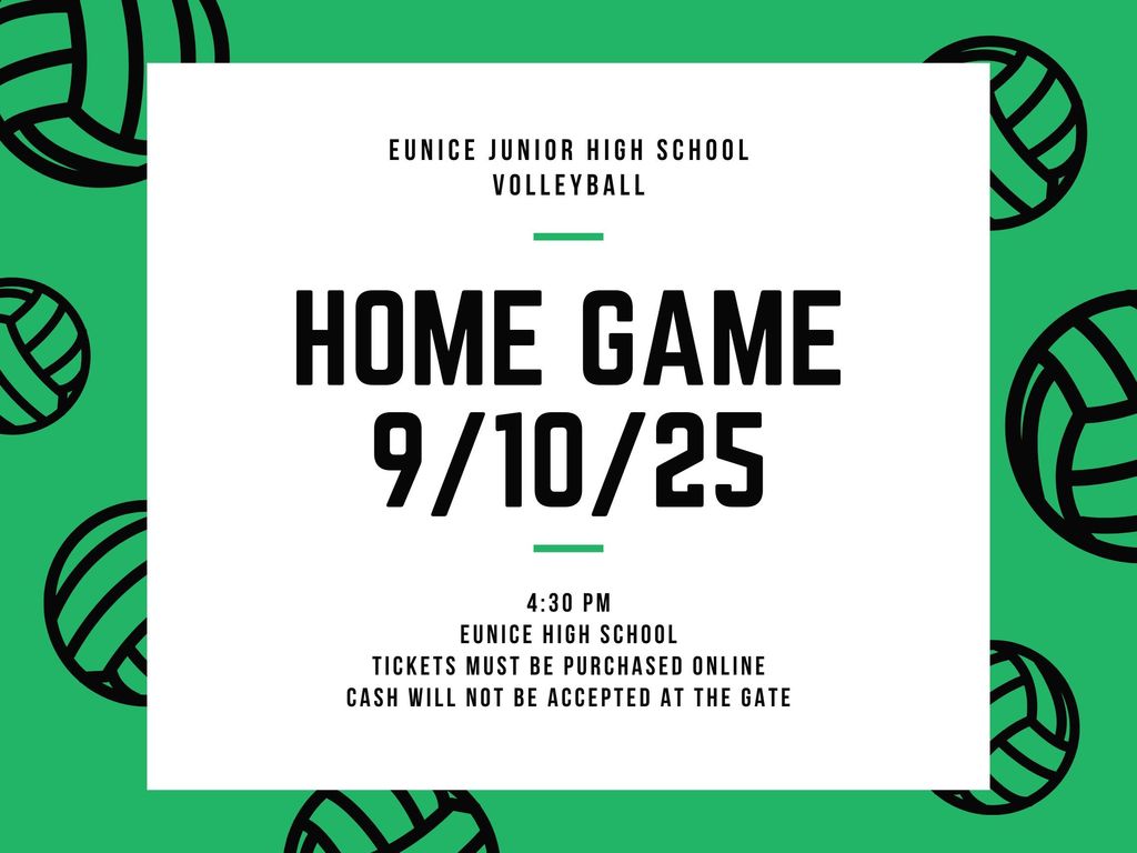 Volleyball Game