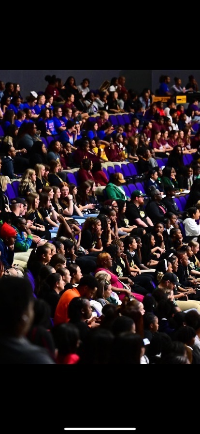 Audience