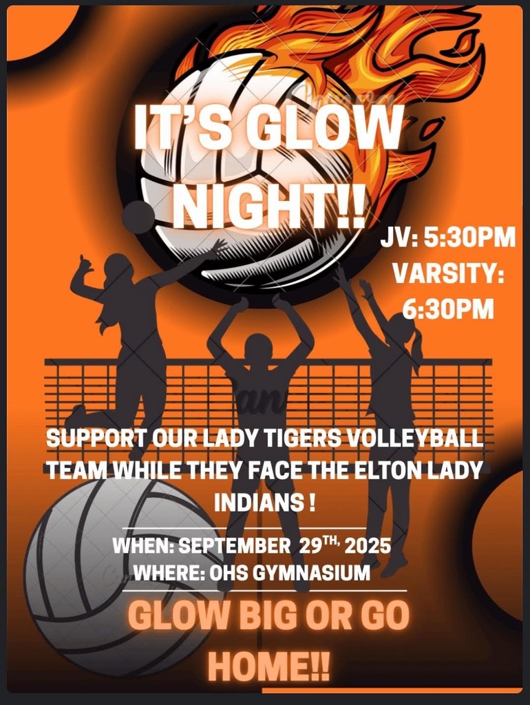 Volleyball flyer