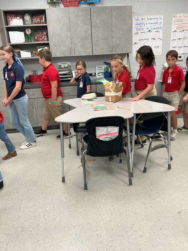 learning walk 