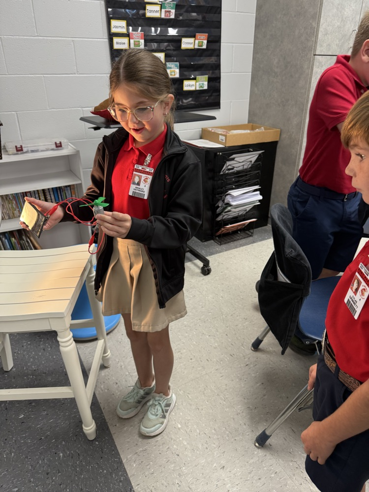 Simple Electrical Systems