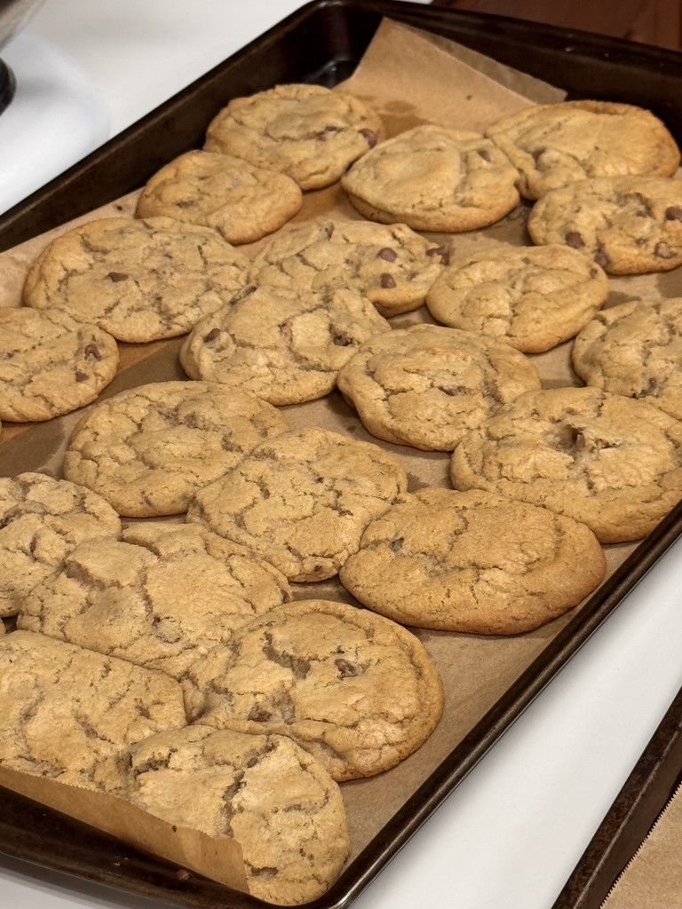 Chocolate Chip Cookie Lab Activity