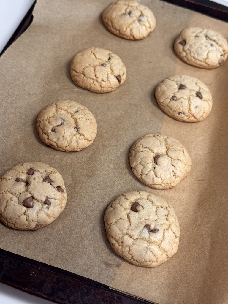 Chocolate Chip Cookie Lab Activity