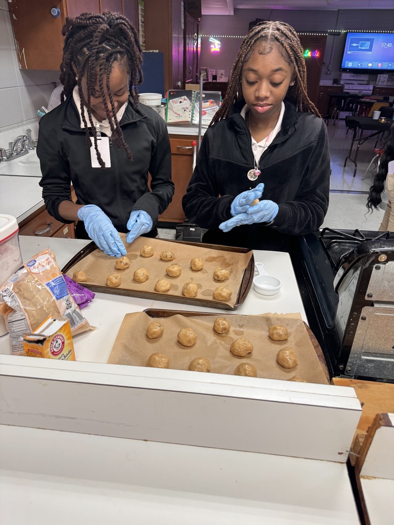 Chocolate Chip Cookie Lab Activity