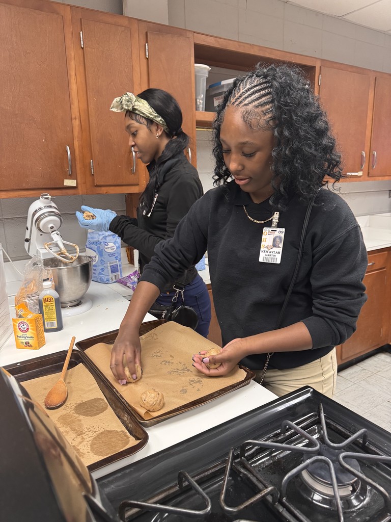 Chocolate Chip Cookie Lab Activity