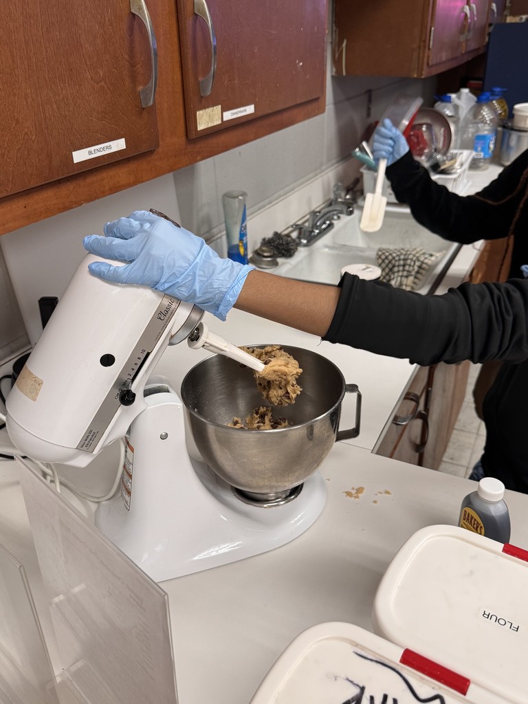 Chocolate Chip Cookie Lab Activity