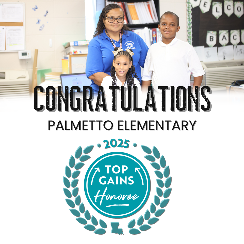 palmetto elementary