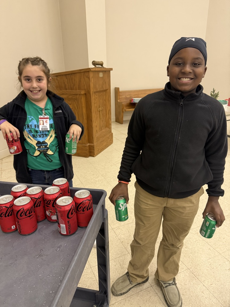 4H community service