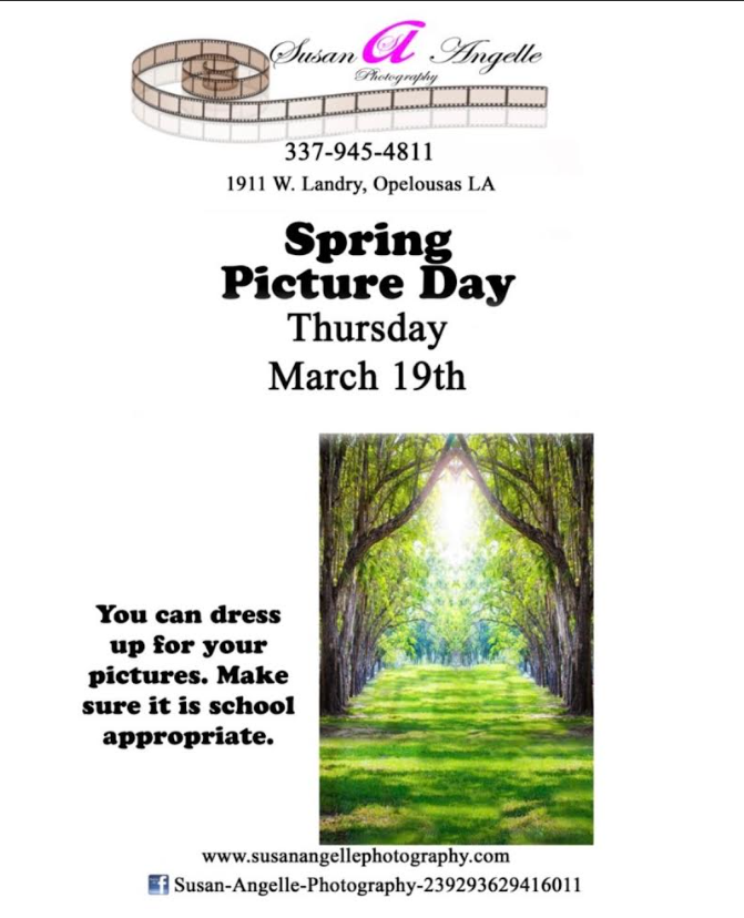 Spring Pictures Flyer