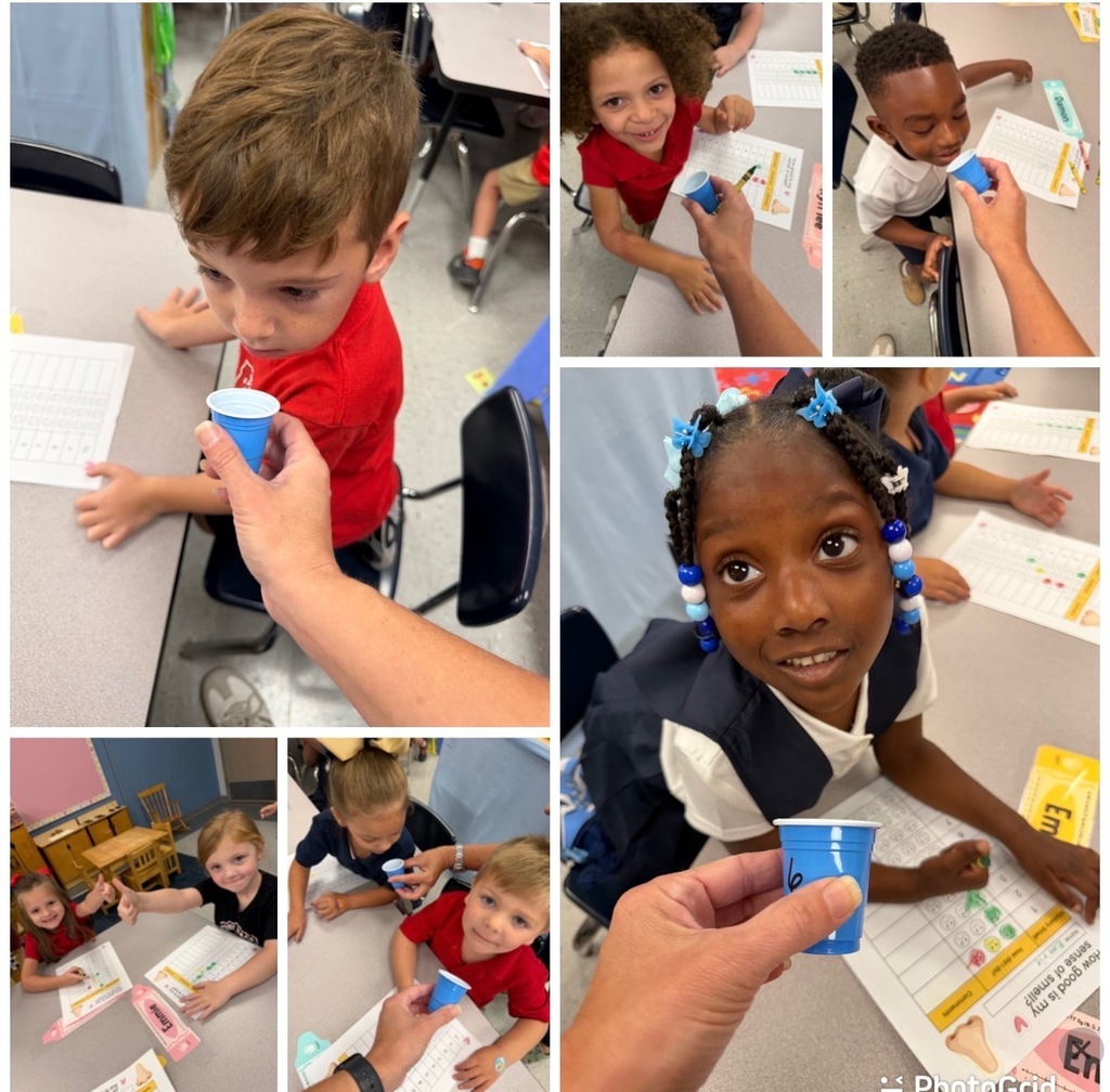 Our Five Senses Adventure! 