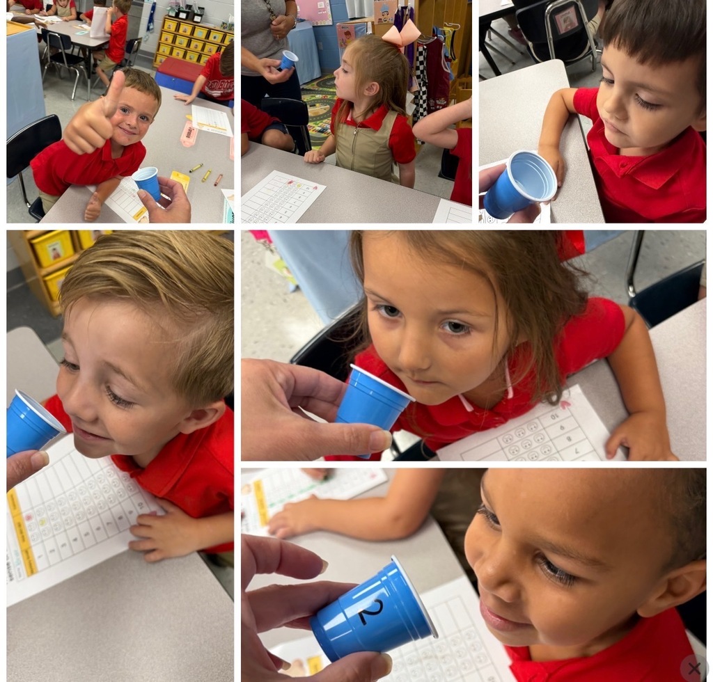 Our Five Senses Adventure! 