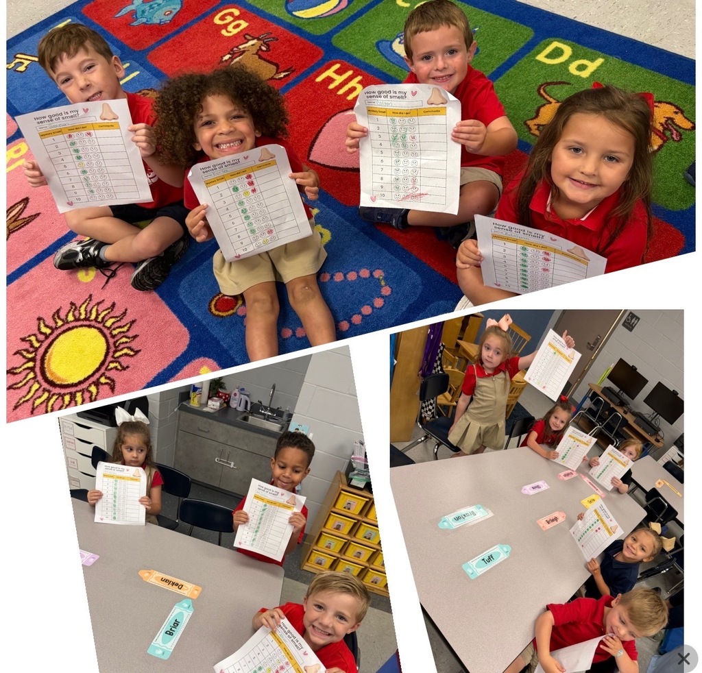 Our Five Senses Adventure! 