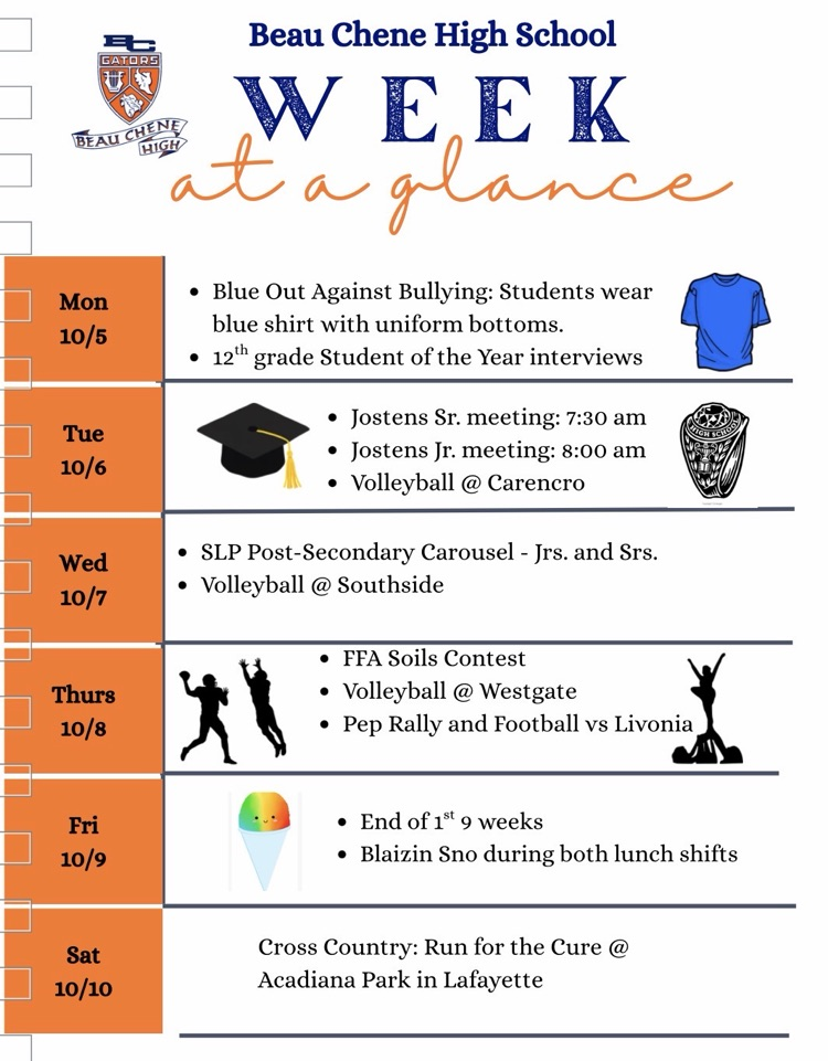 Week at a glance 