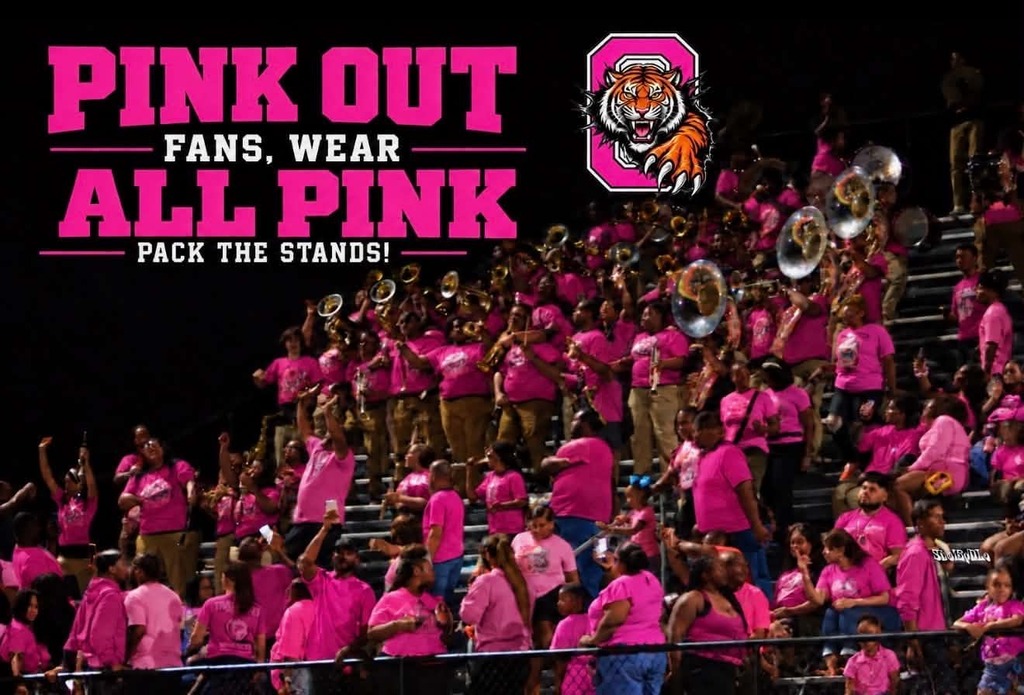 Fans cheering in the stands wearing all pink 