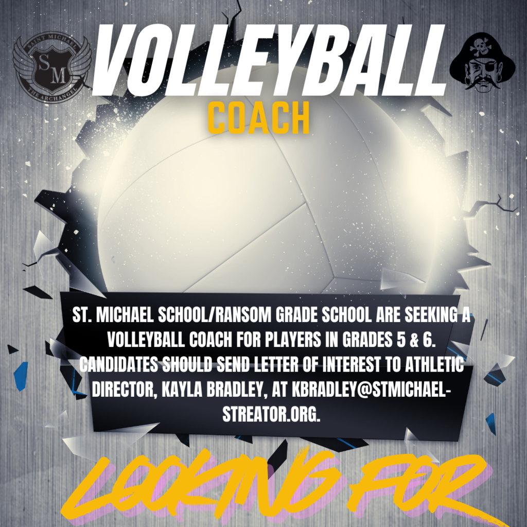 Volleyball Coach