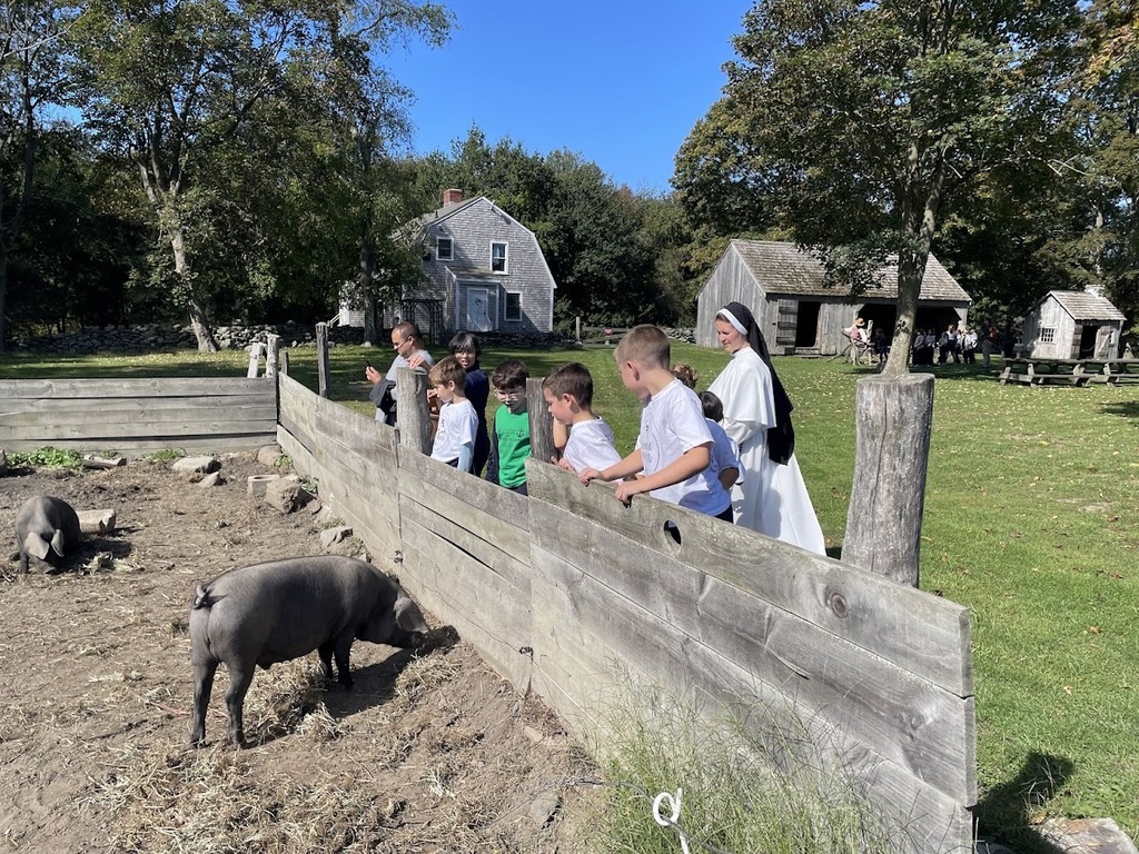 Farm