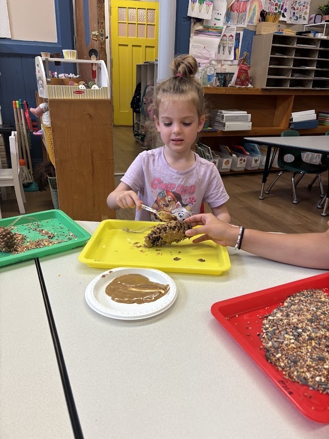 Bird Feeders