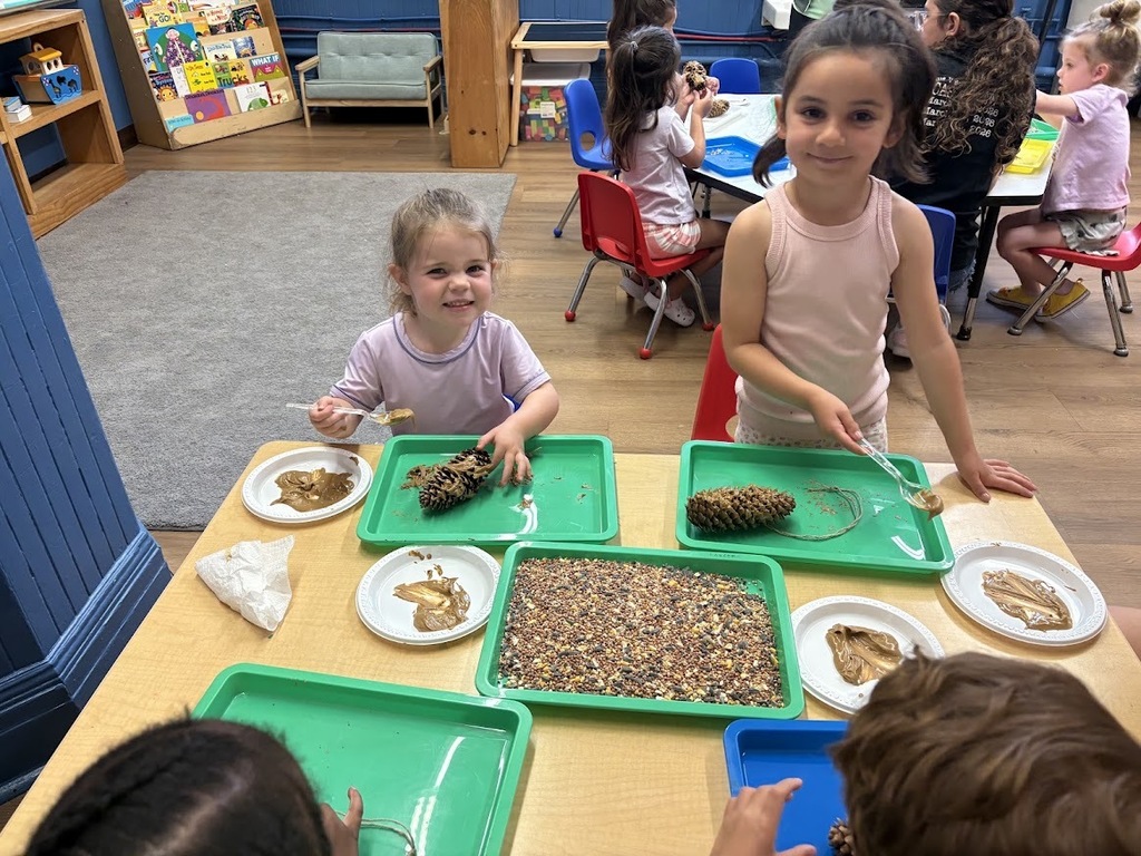 Bird Feeders