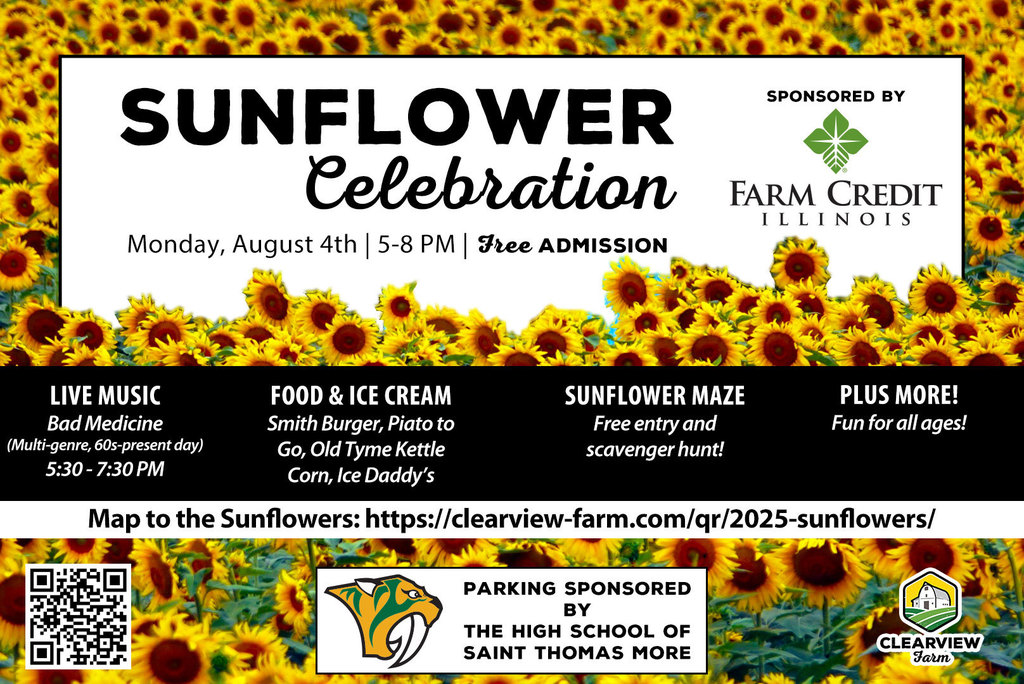 Sunflower Celebration