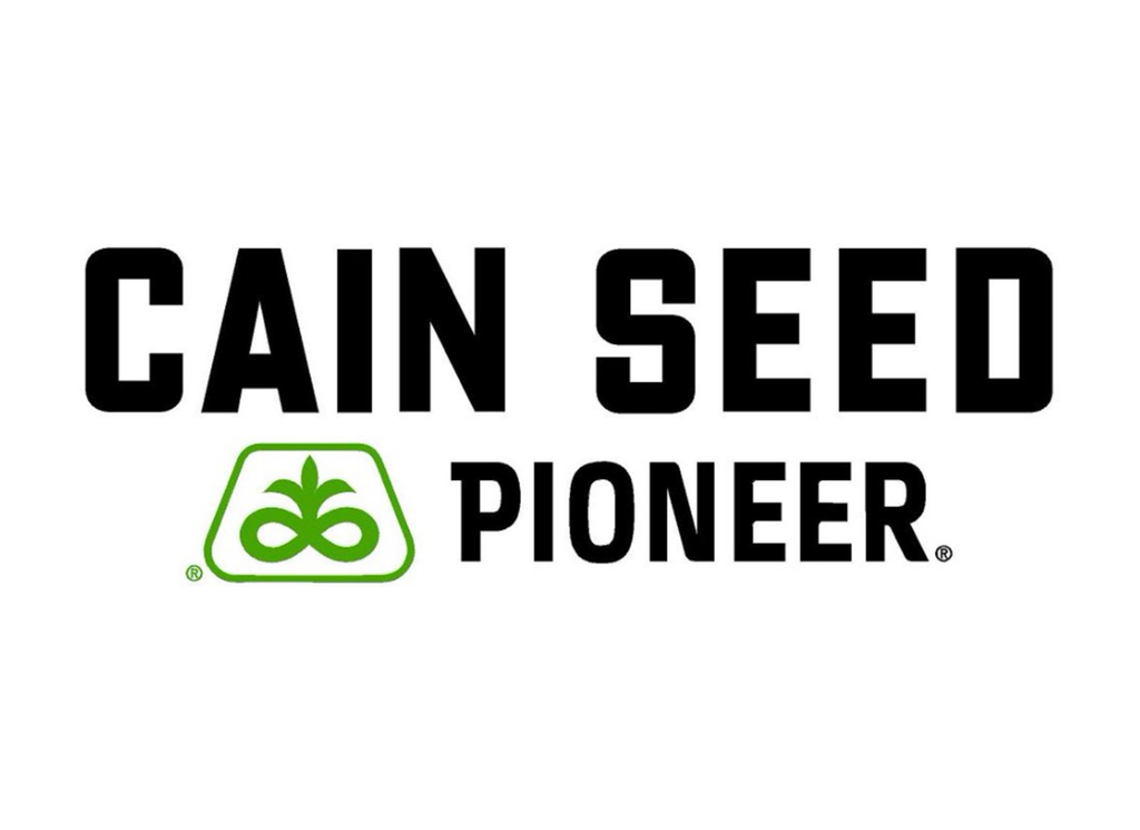 Cain Seed