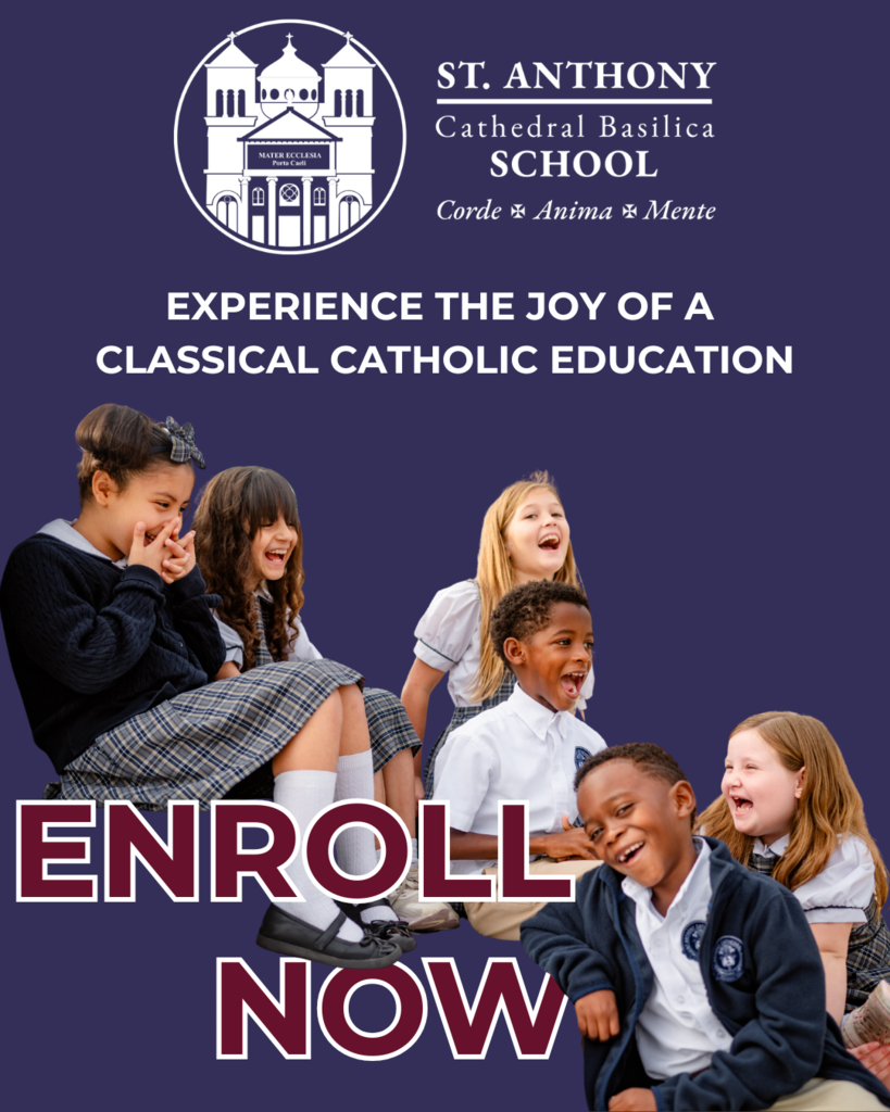 Enroll Now