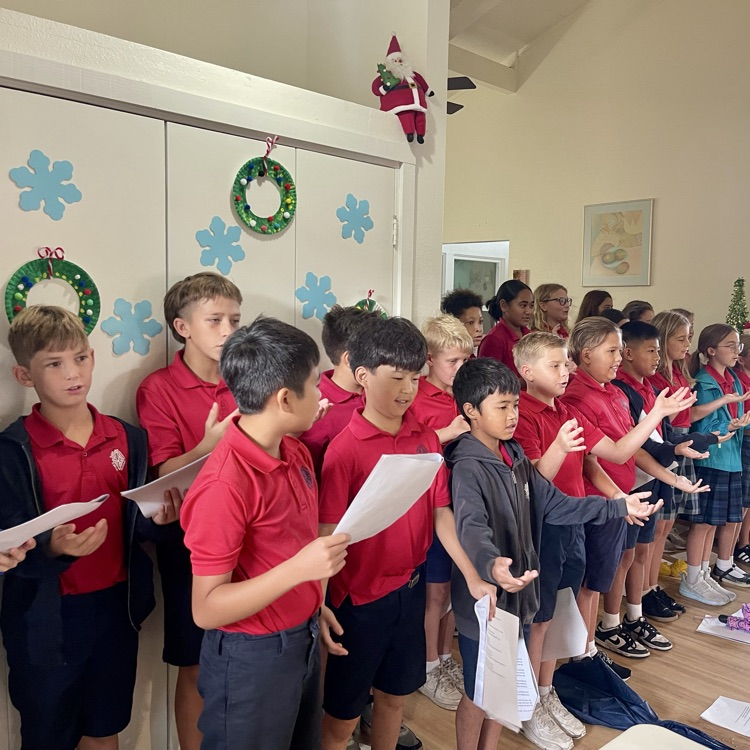 windward senior citizen