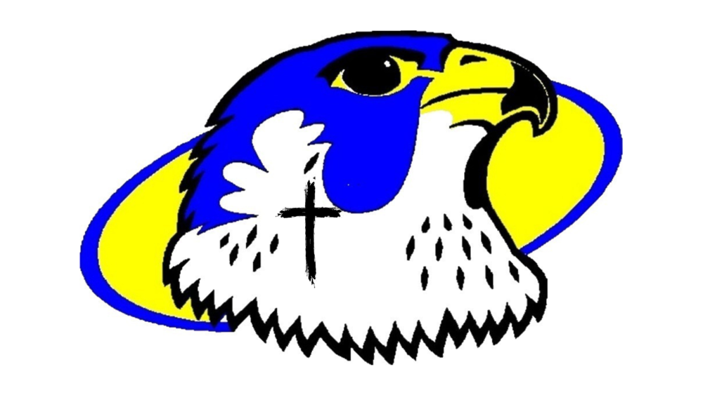 falcon