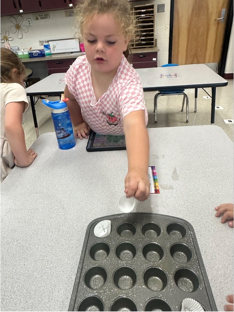 Y5's baking time