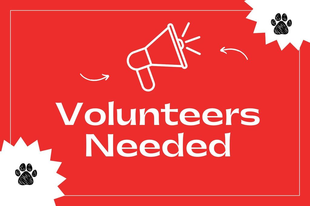 Volunteers